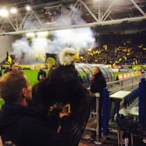 28 febr 2015 Vitesse – PEC Zwolle